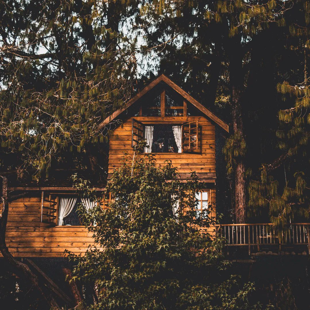 FirstChoice__'s tweet photo. Did you know...

The worlds largest treehouse has over 80 rooms, 10 floors and took over 14 years to build.

#realestate #propertymanagement #funfacts #largesttreehouse #house #realtor #wollongong #illawarra #facts #womeninrealestate #ivestmentproperty #propertyinvestor #sales https://t.co/zFI0dr2dSa