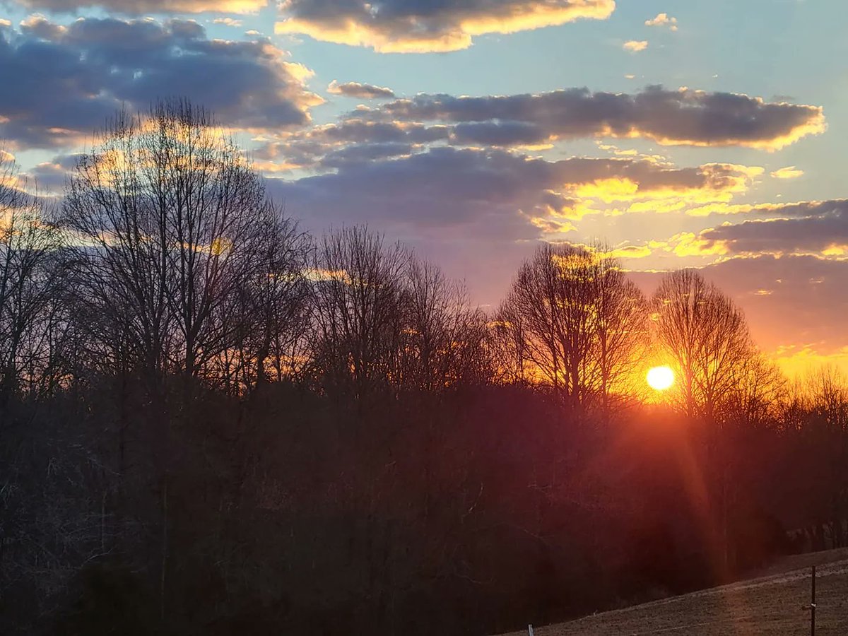 February is almost over! Enter your Shadows &amp; Silhouettes. Must be taken in #CaseyCountyKY. Submit by February 27th at midnight, winners announced the 28th. Use #findingliberty to enter.
Contest Rules and Details: buff.ly/2YjeEIx
📷 Diane Carson, 1547.
