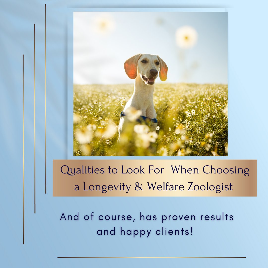 dr_zoolittle's tweet photo. Qualities to look for when choosing a Longevity &amp; Welfare Zoologist: And of course, has proven results and happy clients! 

DM me or click the link below to receive a free Info Pack.

https://t.co/mGqxMTAimA https://t.co/hto7i5eQ1p