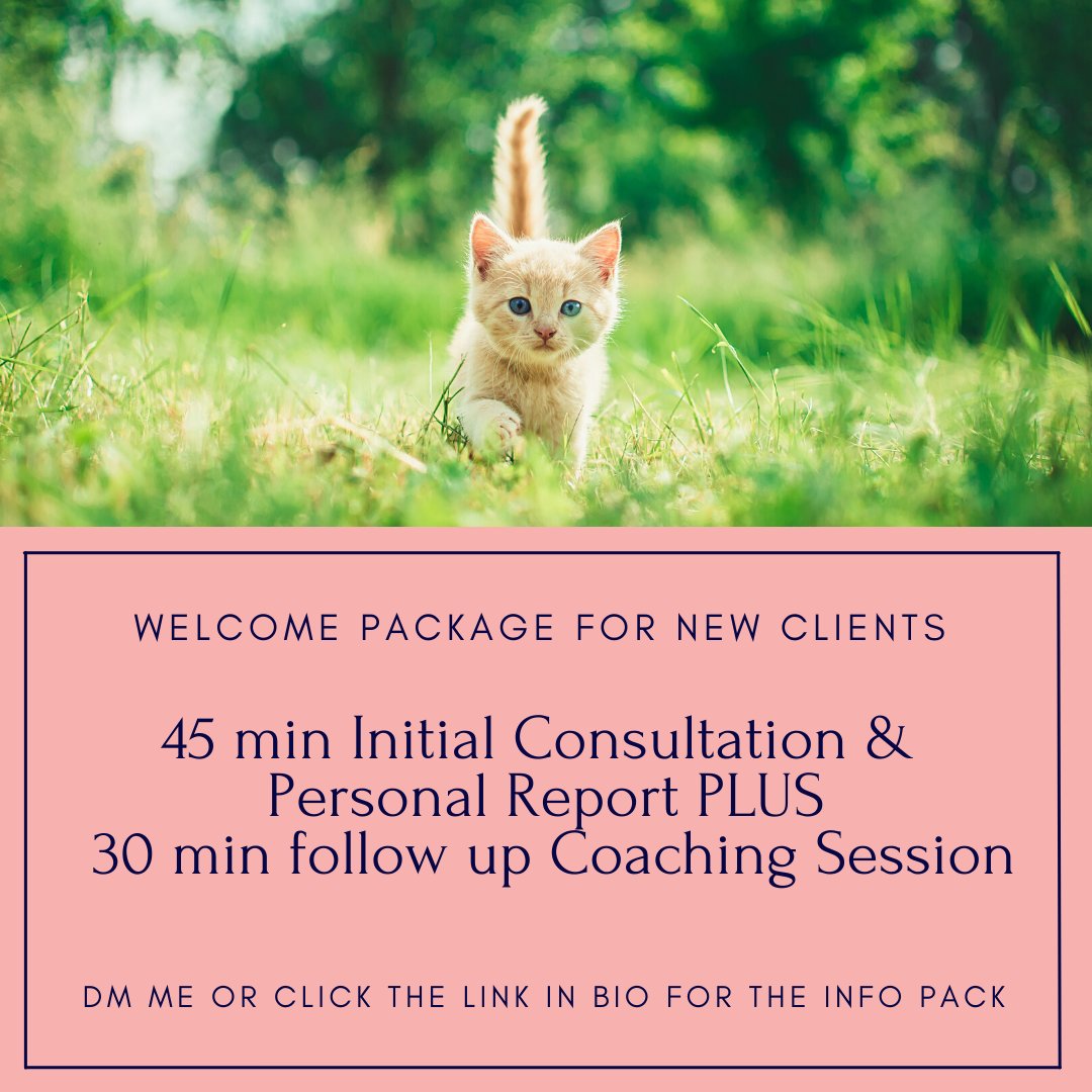 dr_zoolittle's tweet photo. Qualities to look for when choosing a Longevity &amp; Welfare Zoologist: And of course, has proven results and happy clients! 

DM me or click the link below to receive a free Info Pack.

https://t.co/mGqxMTAimA https://t.co/hto7i5eQ1p