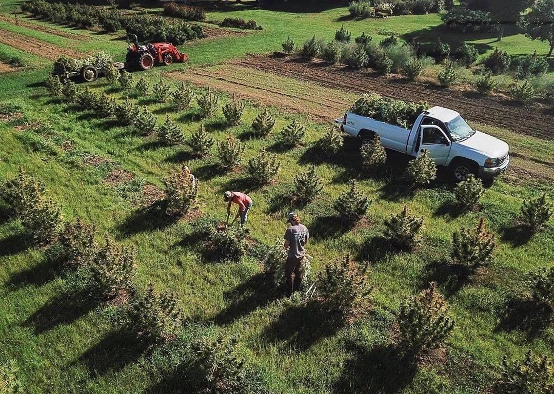 CdnGreenfield's tweet photo. This makes us miss the warm weather up here in Canada 😢

Media Source: https://t.co/RqiI3cSav2

How was your 2021 hemp season? What are you doing different in 2022
📸sandiwoodfarm
#hemp #legalhemp #industrialhemp #cbd #cbdhemp #hempcbd #hempfarmer #hemplife #hempindustry https://t.co/dQIHegPUtR