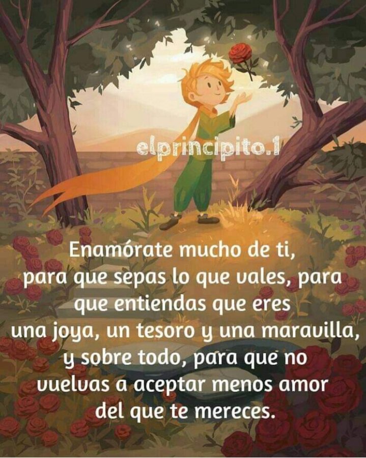 irmeli westerdahl tweet media