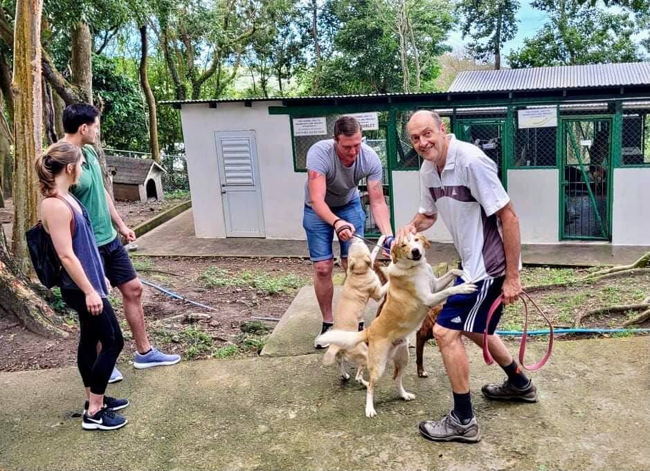 It's Sunday! For #ExPP22 that means another visit to our friends (on 4 legs and 2) at the Montserrat Animal Protection Society. #lifewithdogs (Pictures from Vibeke)