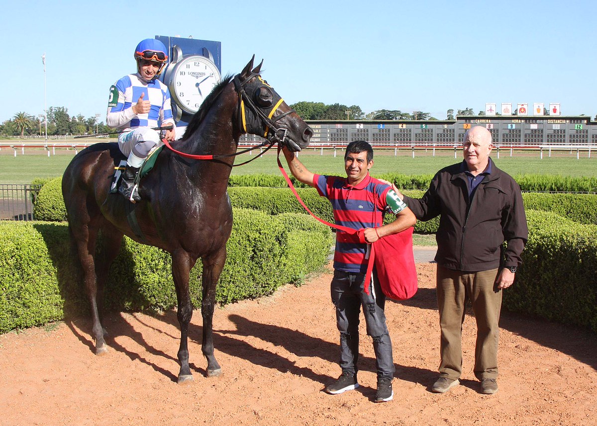 HipodromoSI's tweet photo. ✅ En el @HipodromoSI se disputó el #HandicapParwiz (1400 metros), donde se impuso #Almone (E Dubai), del #StudZungri, entrenado por #JorgeMNeer y dirigido por #WilsonMoreyra. https://t.co/3Pjcm9ED9X