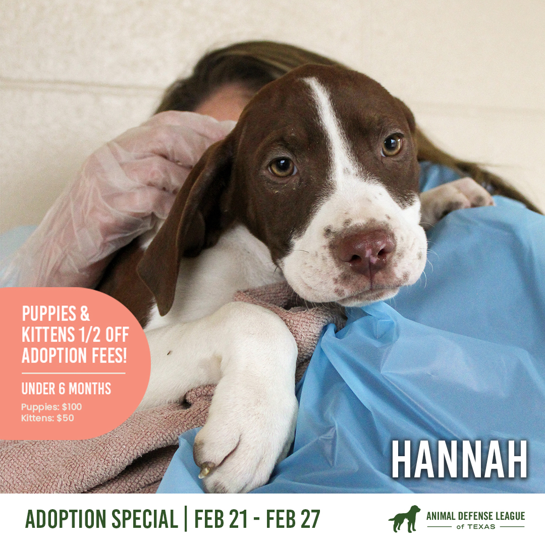 Animal Defense League of Texas tweet media