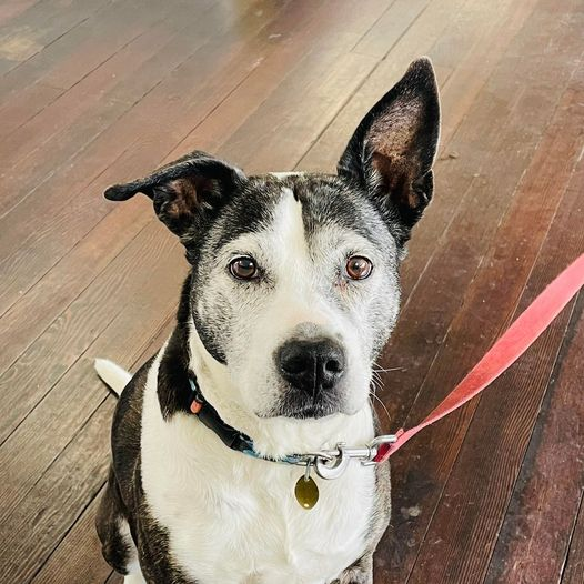 Ron's Comic World tweet media