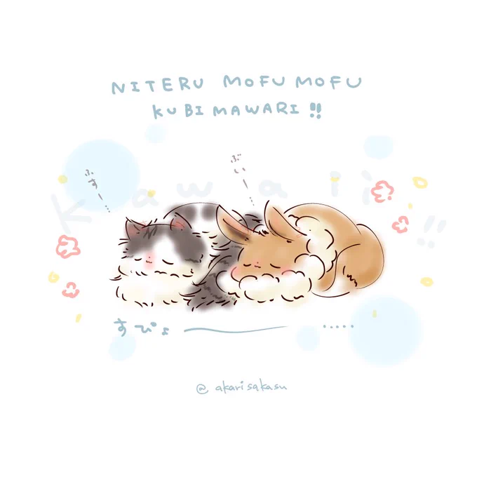 すぴょ〜( っ*˘ω˘ )˘ω˘* c)〜……

#ましまろうじゃない 