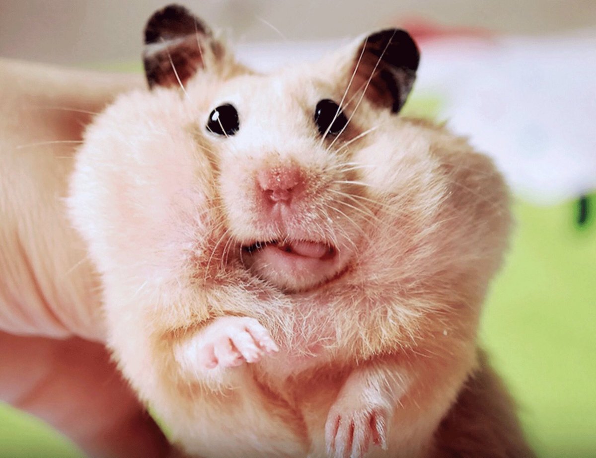 FaceGenerics tweet picture