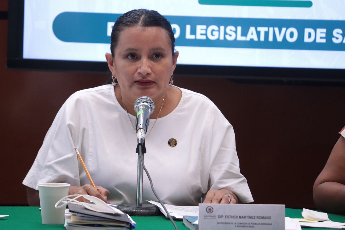 Esther_Mtz04's tweet photo. Durante la Quinta Sesión de la COMISIÓN DE PUEBLOS INDÍGENAS Y AFROMEXICANOS, tuve el honor de participar cómo Secretaria durante el desarrollo de la mesa de trabajo. 

@DiputadosPTmx
@Mx_Diputados
@PTPueblaOficial
#Teziutlán #DeCorazónALaSierra https://t.co/4983utUDHV