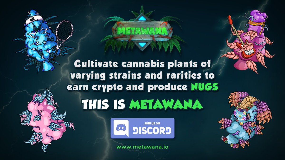 MetawanaGame's tweet photo. We're super excited to announce a major update to Metawana's whitepaper & roadmap, along with a massive partnership 🚀
To learn more head over to our Discord (https://t.co/xrcyXfsN9K). You'll find our latest announcement in The Dispensary channel.
#Metawana #HighIdeas https://t.co/0PynYCIRMw