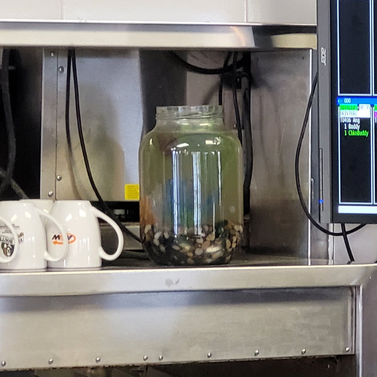 Galaxymew2's tweet photo. @AWCanada 
Get this fish in a 5 Gallon tank with a heater, a filter and in a quiet place. 
Poor thing is in a heavy traffic zone. 
And it looks like it hasn't had a water change in a month. https://t.co/qSlAHv2BZt
