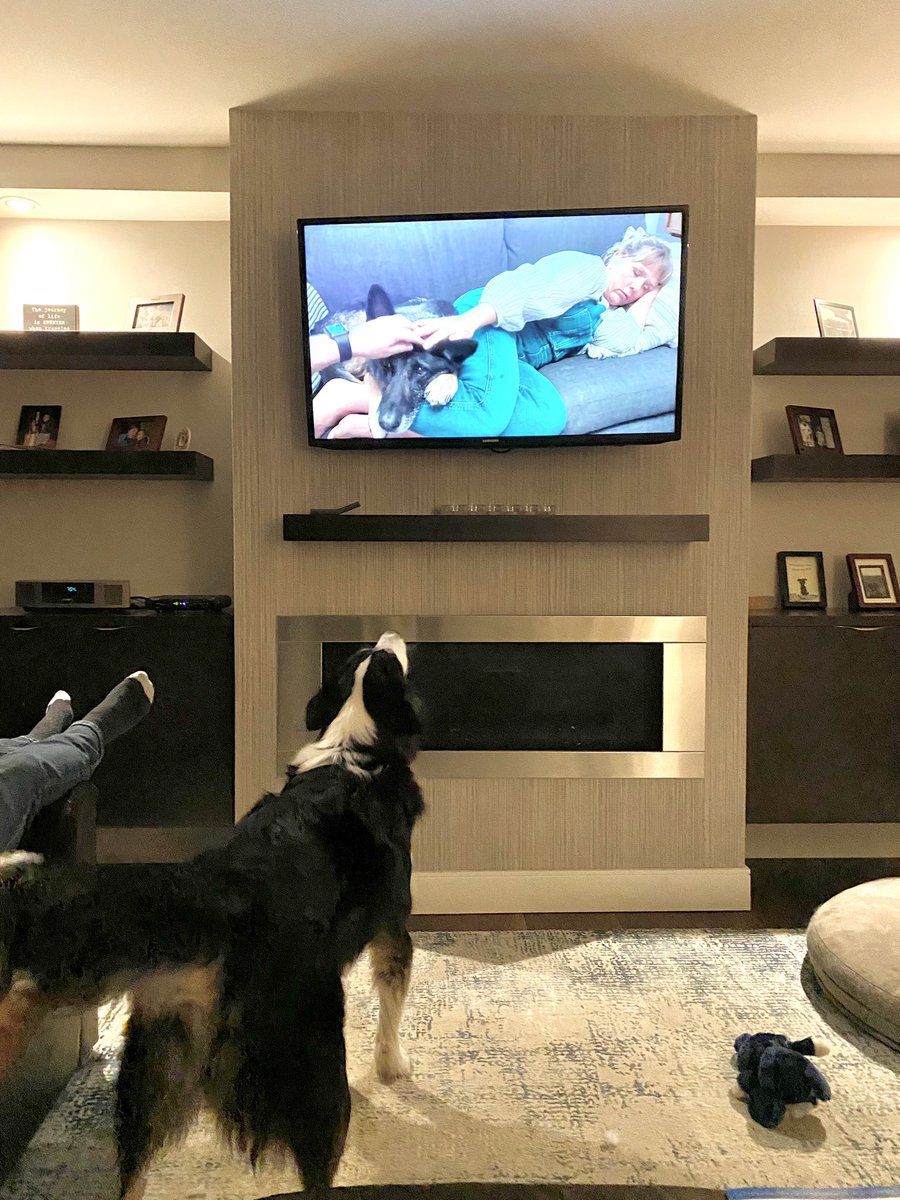 shonapm's tweet photo. @rickygervais we just discovered 🤷♀️#afterlife and have been glued to the tv since episode #1. Loved it! Our pooch did, as well, but there were some tense moments (several of them) of barking at Brandy.🤷♀️ #dogsoftwitter #dogsontv #dogsontele #RescueDog #spcarescue #Canadianfans https://t.co/o1Q0ygtVaR