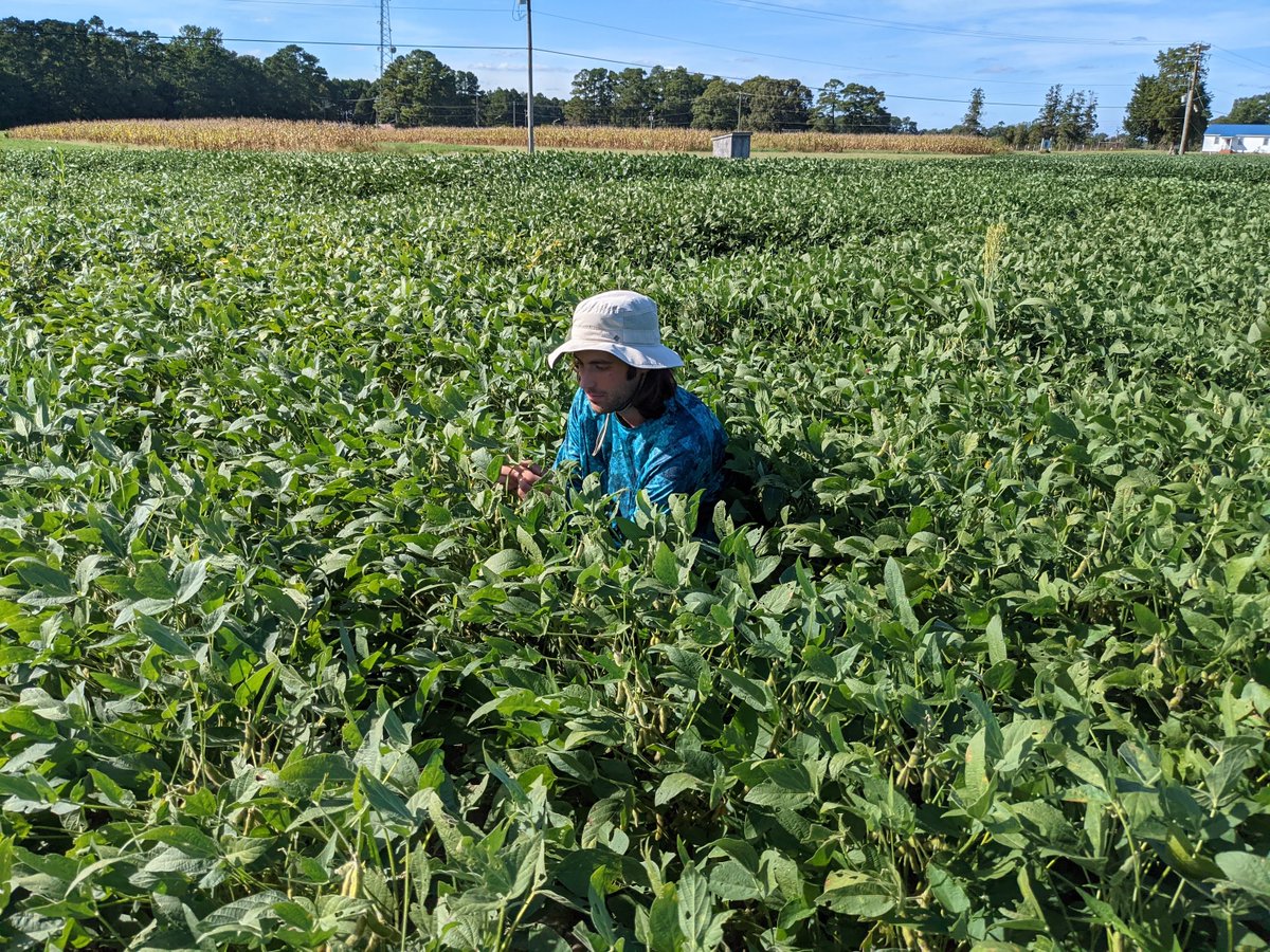 the_duffsquad's tweet photo. Come work with our lab this summer! We are seeking technicians for a few different insect ecology projects. Full details can be found on our website https://t.co/cJ4NqLdKoL https://t.co/WG8tWgYNGv