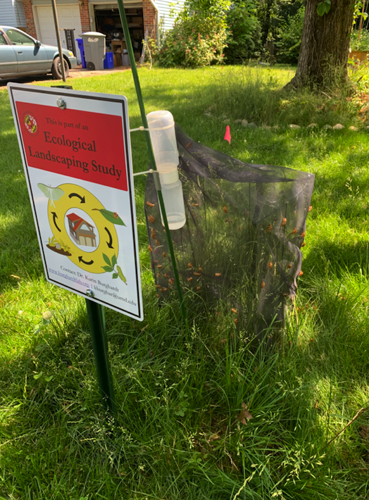 the_duffsquad's tweet photo. Come work with our lab this summer! We are seeking technicians for a few different insect ecology projects. Full details can be found on our website https://t.co/cJ4NqLdKoL https://t.co/WG8tWgYNGv