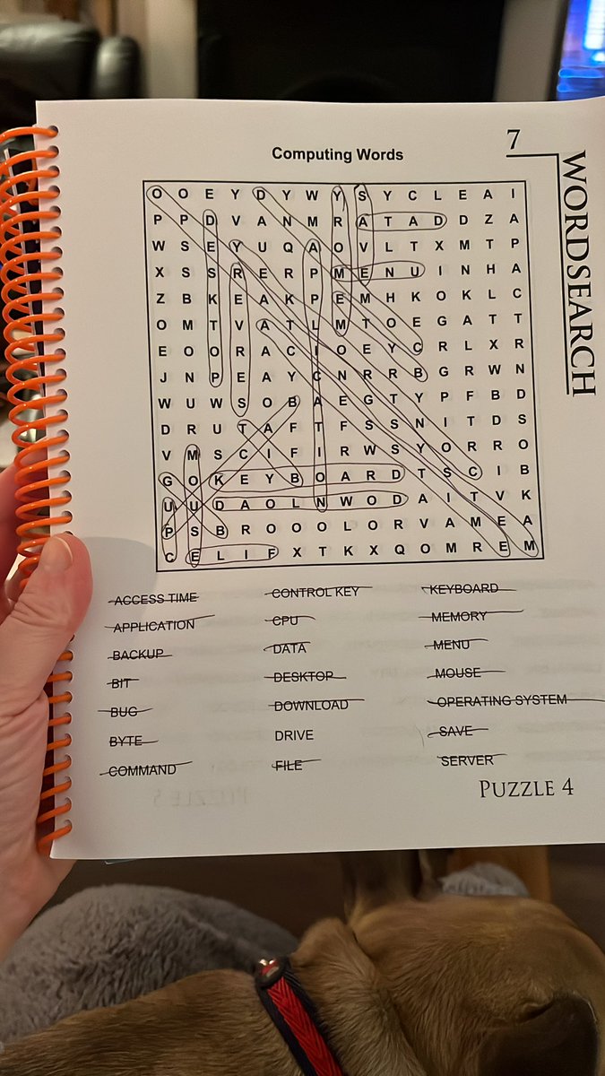 fionabkearney's tweet photo. When your word search corresponds with your job as a records manager based in an ICT department #recordsmanager #ict #infogov https://t.co/r7lDeUeCuQ
