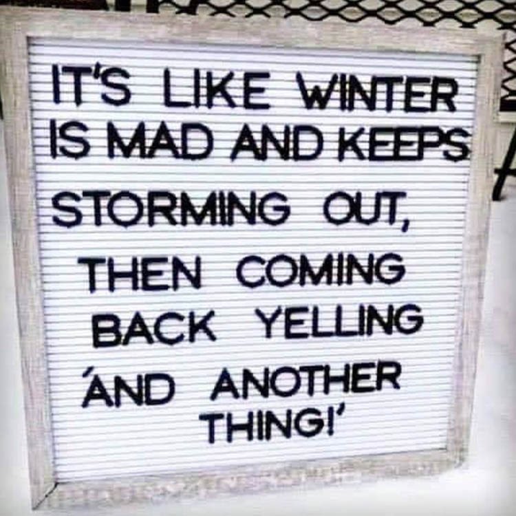 Burkeeboy's tweet photo. This #meme sums up #Alberta weather perfectly.  #yegwx #yegtraffic #stalbert https://t.co/4ojVJ2eeCO