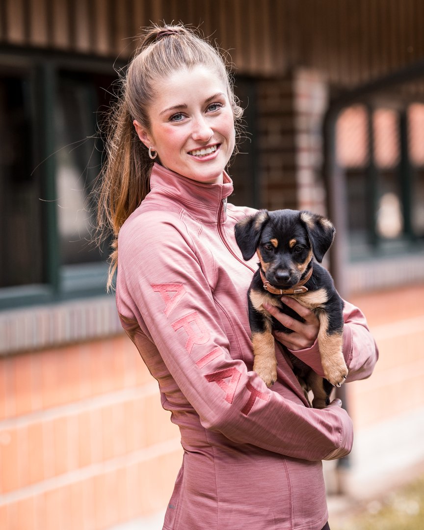 Ariat's tweet photo. Two things you just want to pick up: this sweet barn dog and our Tek Team ยฝ Zip.
#DogsofAriat #AriatEq https://t.co/MszOfg4RbV