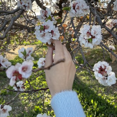 dYu_uY's tweet photo. #صورة_جديدة_للملف_الشخصي https://t.co/rVNtWe4Fyf