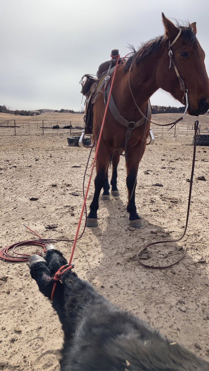 Moose and me enjoying everything but the weather today.