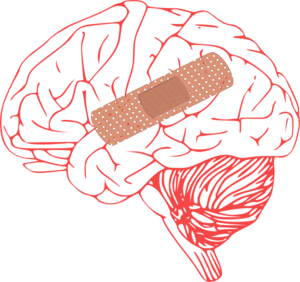 BHSC__'s tweet photo. #STROKE 

Scientists have shown that mesenchymal #stemcells can limit #brain damage and promote #healing.  SCtx provides neuroprotective effects and induces the formation of neuronal cells, blood vessels and neuronal connections. Call 212-206-2073 for more information. https://t.co/Xt4McvP8N4