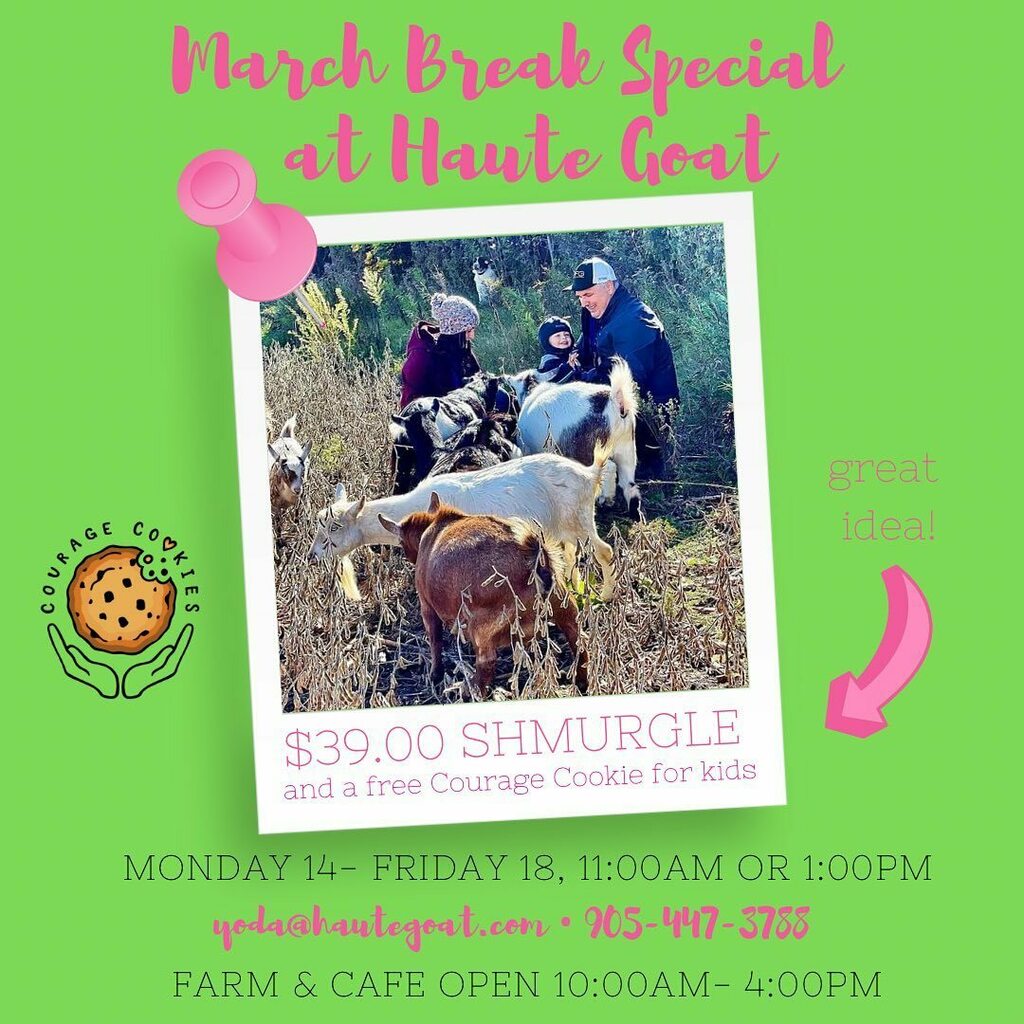 Looking for something fun for the whole family during March Break?

Book now for our Special Priced SHMURGLE- $39.00! 
Kids 6 and under $15.00!
All kids get a free @couragecookies.to 🍪

ift.tt/Iy0Gahr

#marchbreak #farmexperience #iloveporthope… instagr.am/p/CaVlvn4LKck/