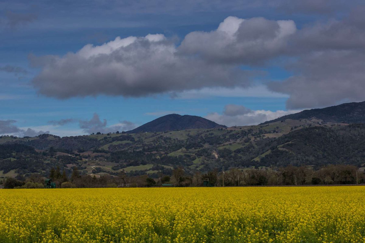 Visit Santa Rosa tweet media