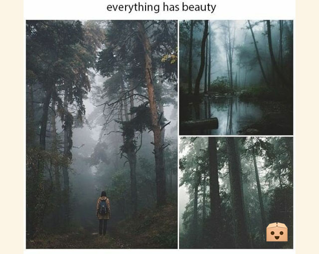 FunSubstance's tweet image. Everything has beauty 🌳

funsubstance.com/fun/637432/eve…

#FunSubstance #Fun2022 #Fun #FunSubstance2022 #FunnyMemes2022 #Beuty #Nature #Forest