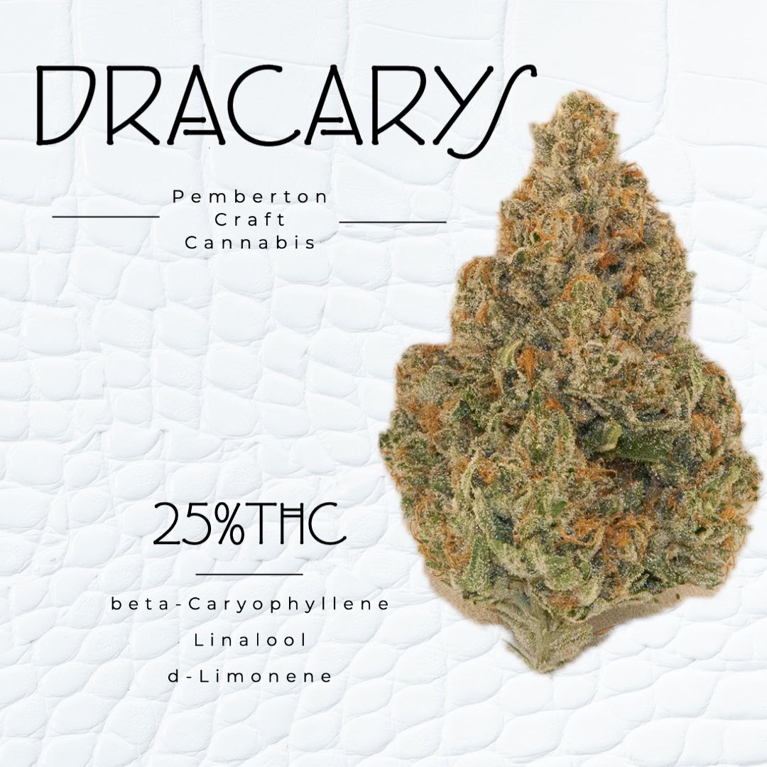 BC Retailers! Just Dropped at BCLDB. Brand NEW cultivar DRACARYS- these dragon fire spears are a cross between gg4xpre98bubbakush cracking 25%thc. terps: Limonene, Linaloo, Beta-Caryophyllene. Small batch hand crafted, owner-grown: Independent Craft Cannabis.