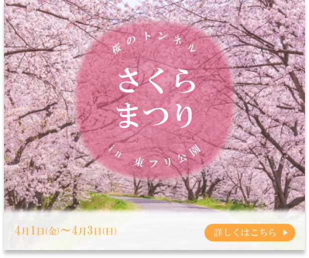 onkun_15's tweet photo. 以前のデイトラ課題分。
海街diaryの桜のトンネルをイメージ。

メンターさんにフィードバック頂いた点を
改善した作品。
記録のためにツイートしてみた。

＃デイトラ
＃デイトラ主婦部
＃副業
＃さくらまつり
＃海街diary https://t.co/CyNtqhgSXV