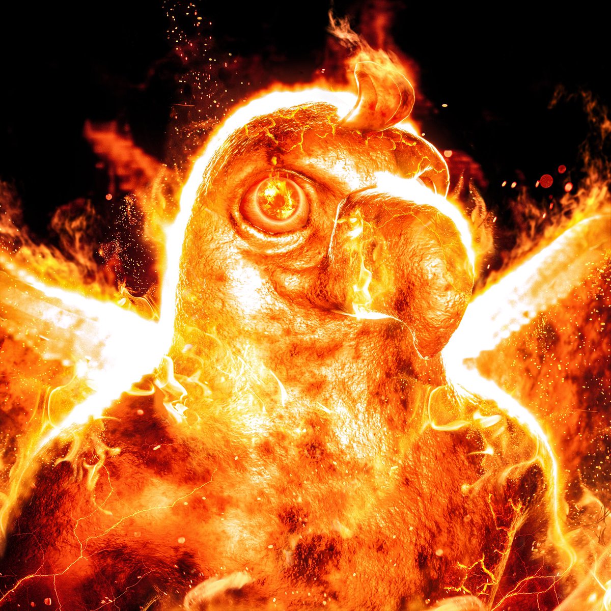 Gal3DArt's tweet photo. 🔥 Who’s ready?  
#nft #nftart #artist #3D #cgi #fire #flame #eagle #phenix #art #NFTCommumity https://t.co/fNS39oS3ir