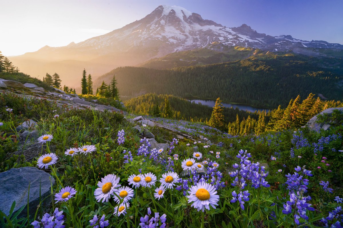 jengrand8's tweet image. “Wild and Free”

Mount Rainier is a place I go to connect with my artists heart and with nature. A place I have found myself as an artist, where I’ve first found my footing as a solo hiker and one place I feel truly free.

foundation.app/@JenGrand/foun…
#artTANK 
@LITWTF fam 💙✨