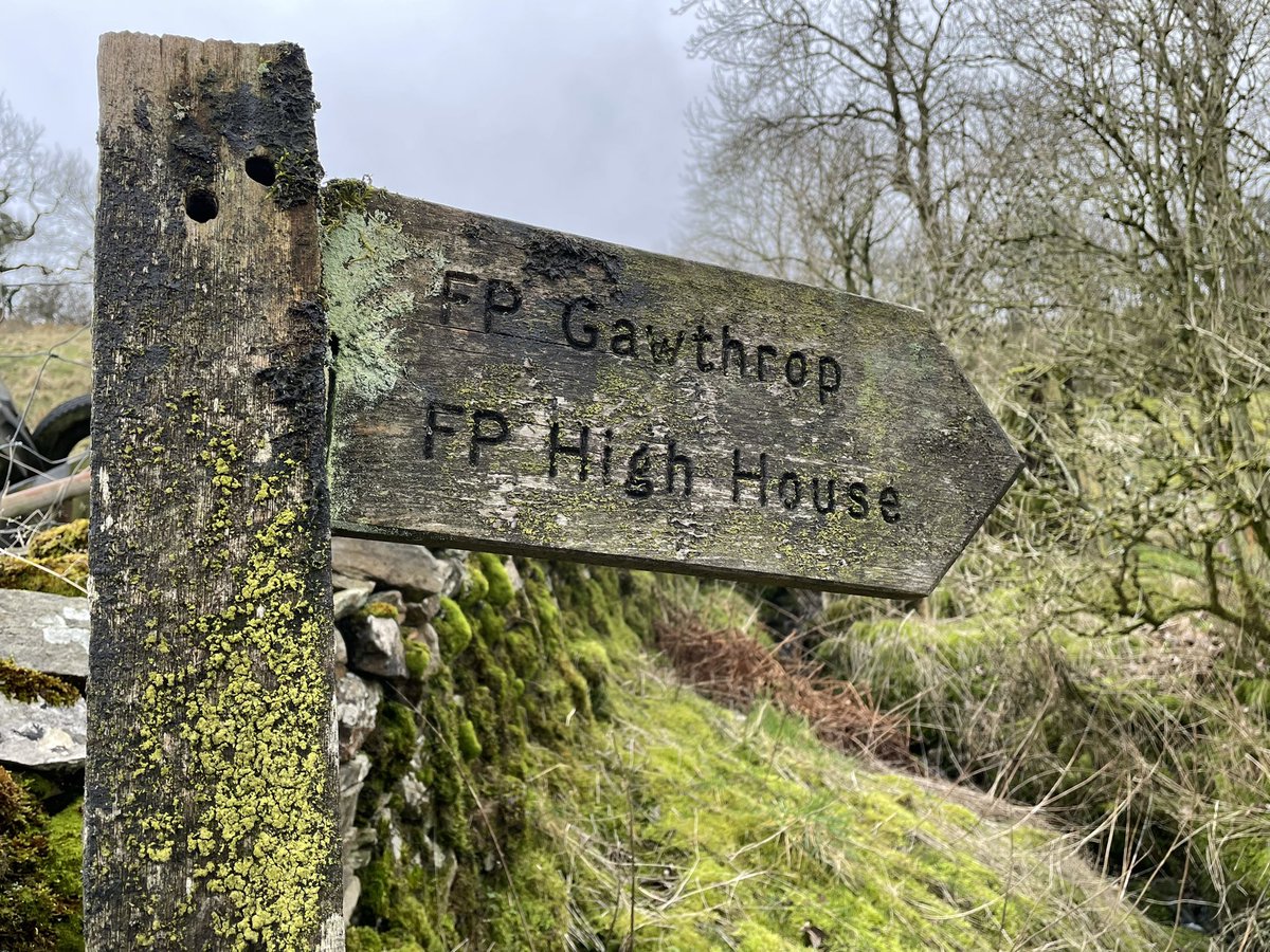 DMarkLauder's tweet photo. Ok @StrathallanSchl @StrathallanPrep @strath_sport If the #HeadMan👨🏻‍🎓is 25th on this week’s Strava #FitinFebruary leaderboard, something’s wrong……!!🤔 Time to get out &amp; about in Half term - FIVE DAYS to GO!! 🚶‍♀️🚶🏃‍♀️🏃#blueandgold bring it home #Strath 💪👏👏👏 https://t.co/VWdLVkKLtQ
