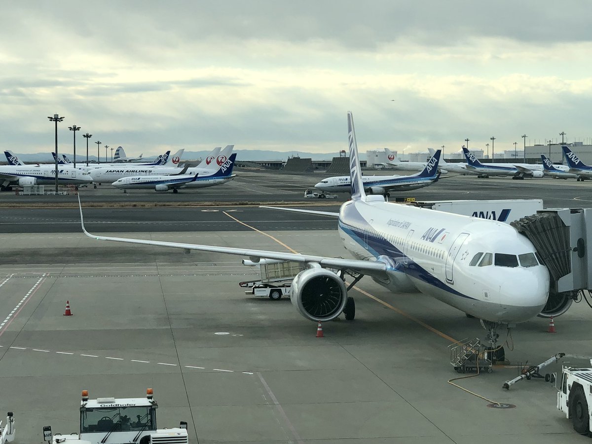 iso_pyon's tweet photo. 広島・岡山・香川へ
大好きなA321neo
#ANA #NH675 #A321neo
#JA150A #HND #HIJ https://t.co/qAGxrJAOwT