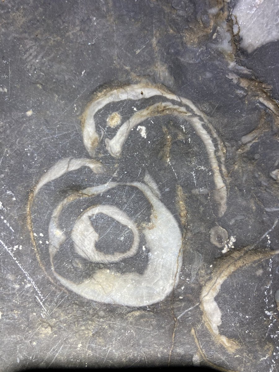 Ormside Mill tweet media