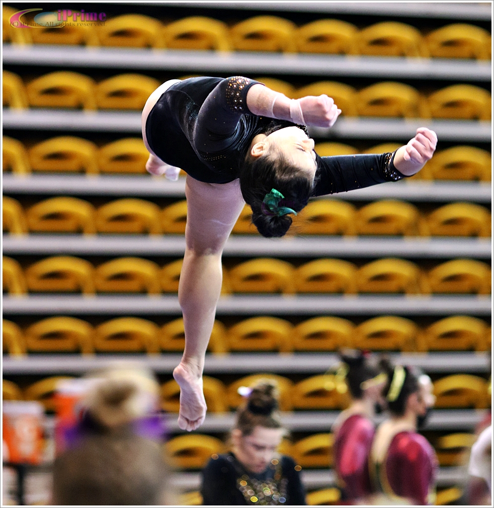 iprimesports's tweet photo. Towson Gymnastics 2022
#Gymnastics #CollegeGymnastics #SportsPhotograhpy #iPrimeSports #Lifetime #OneAndOnly #memories 
#TowsonGymnastics #EAGLGymnastics https://t.co/RDfOoE32oH