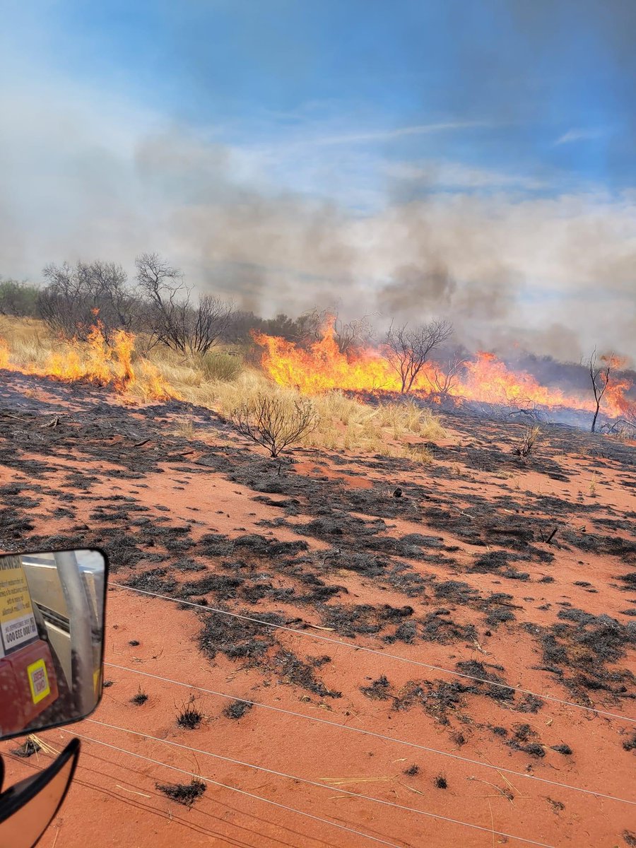 merino_wa's tweet photo. Woolgrowers in the Gascoyne are in need of hay due to the many #fires in the area since the beginning of Jan. Hay has been sourced, but if you can help with transportation from Newman please get in touch with @Hay_from_WA .
#communitysupport #togetherinag #fireswa https://t.co/2xqrONo8lh