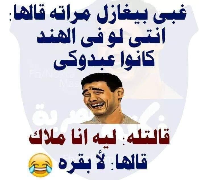 Fox Brave (@brave2_fox) on Twitter photo 