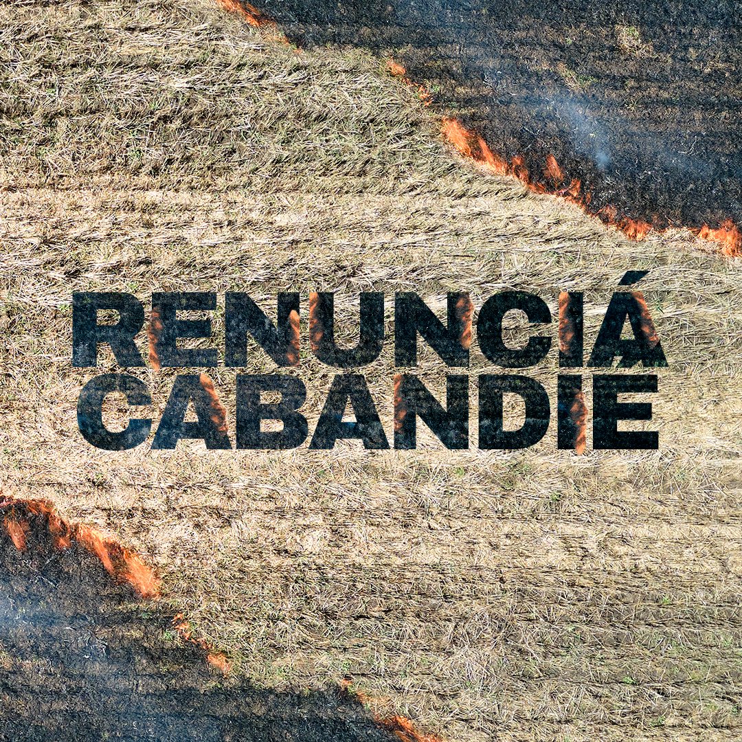 jproriocuarto's tweet photo. RENUNCIÁ CABANDIÉ

Desde la @jprocba_ exigimos una actuacion responsable por parte del Ministro @juancabandie mañana en el @senadoargentina. 

Los argentinos se solidarizaron por sus hermanos correntinos, haga lo mismo usted y renuncie. https://t.co/g4OzTcF0c6