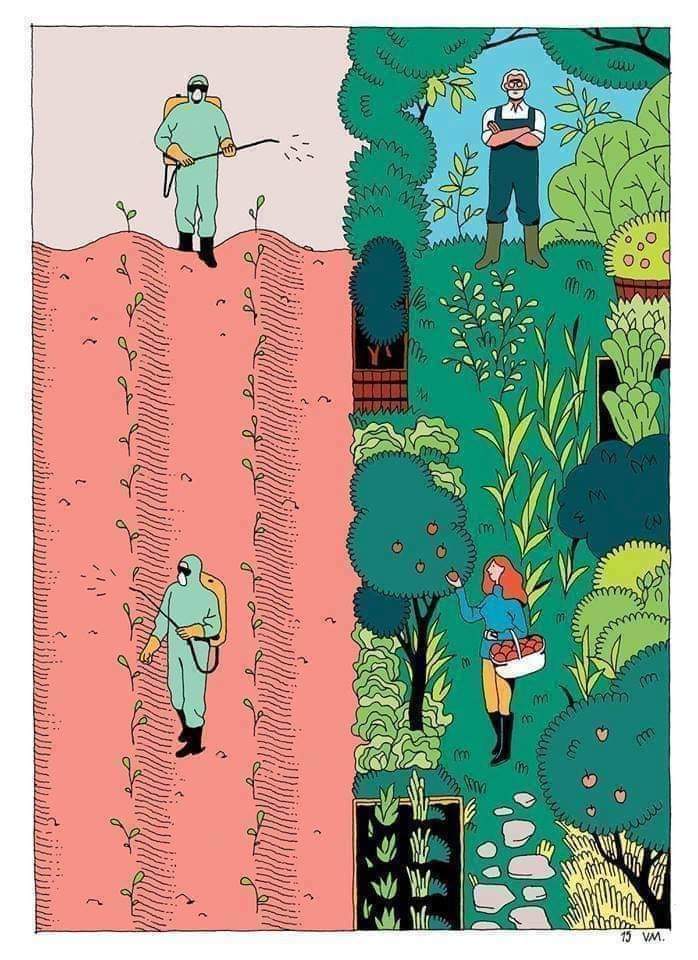 Qué mundo les gustaría dejarles a sus hijes?