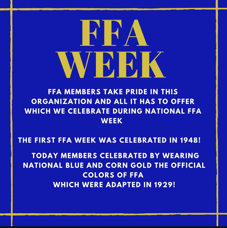 bashaffa's tweet image. 