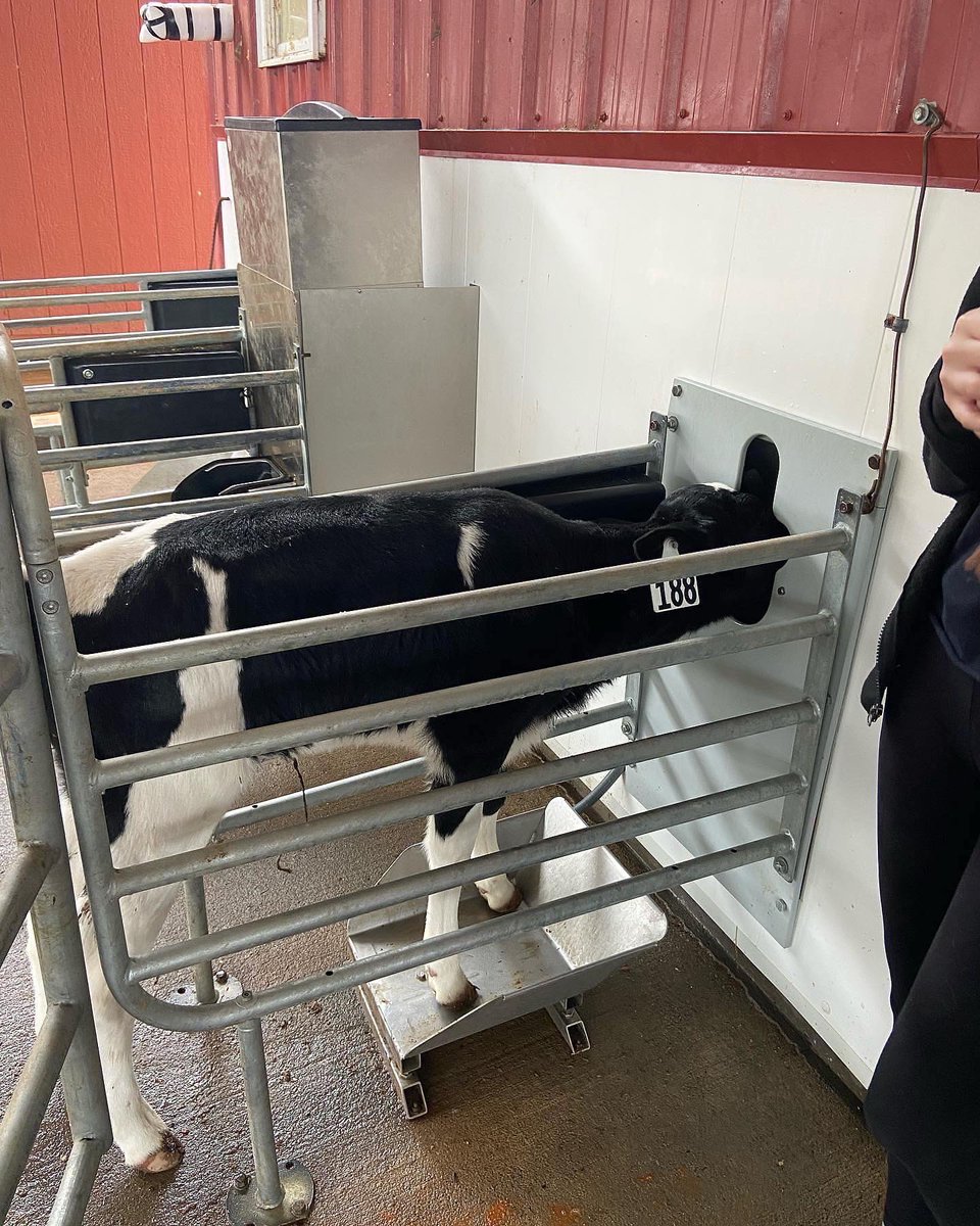 Today Animal Science 2 students took a trip to the Piedmont Research Station to visit the dairy unit! A big thank you to Kira for taking the time out of her day to show these students around and give them more insight to the industry 🐄