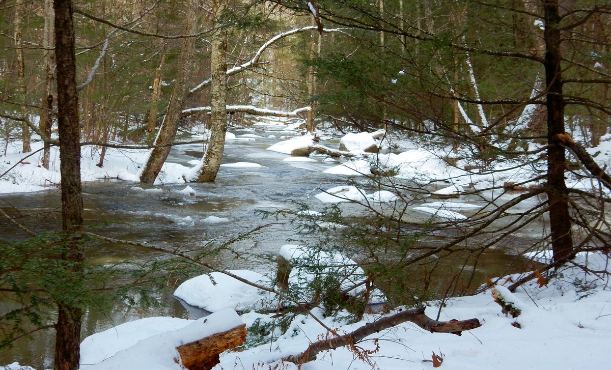 Frozen and soon to be buried in snow. Winter will be back soon.