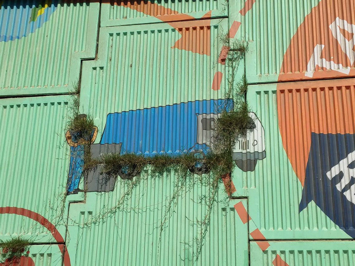 harameco's tweet photo. 𝐃𝐎𝐎𝐁 𝐆𝐑𝐀𝐒𝐒 𝐁𝐄 𝐋𝐈𝐊𝐄...
Bitch, tu #CSRfunding se banale preachy public art. Attention toh mujhpe hi aani hai.
#UrbanWeed
#CynodonDactylon
#GuerrillaGardening
#GuerrillaMarketing https://t.co/5xtt7nUN2R