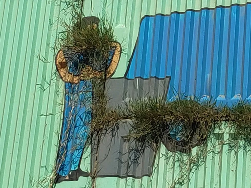 harameco's tweet photo. 𝐃𝐎𝐎𝐁 𝐆𝐑𝐀𝐒𝐒 𝐁𝐄 𝐋𝐈𝐊𝐄...
Bitch, tu #CSRfunding se banale preachy public art. Attention toh mujhpe hi aani hai.
#UrbanWeed
#CynodonDactylon
#GuerrillaGardening
#GuerrillaMarketing https://t.co/5xtt7nUN2R