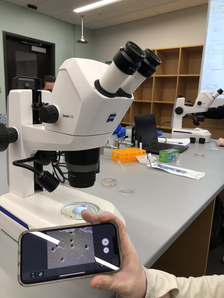 UticaBiology's tweet photo. Ferns and worms in @JessThomasBio Developmental Biology lab course at @uticauniversity ! Using our new @zeiss_micro stereoscopes with integrated cameras in our new Science Center. Lots of exciting things happening @UticaBiology ! https://t.co/tj2veqymqR