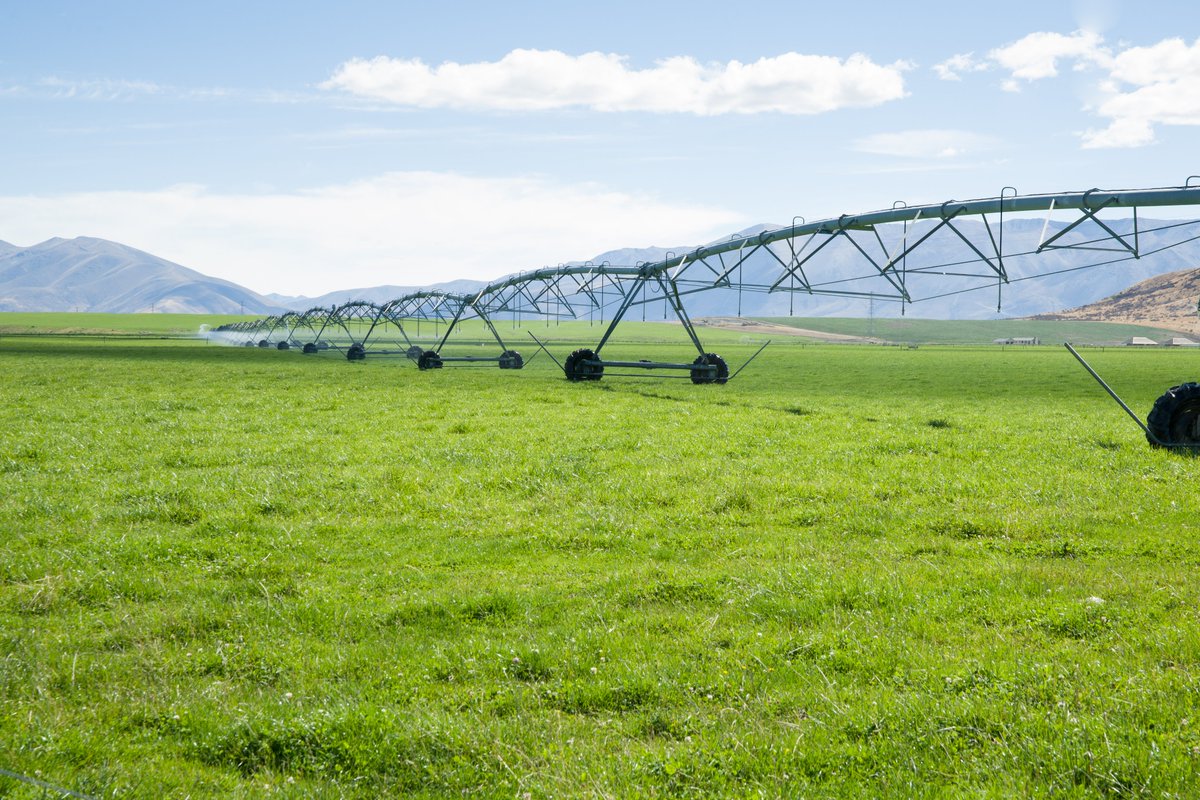 simian_warthog's tweet image. I have spoken to farmers in New Zealand who strongly feel that a river that actually reaches the sea  is "wasted water."
#economy 
#overpopulation