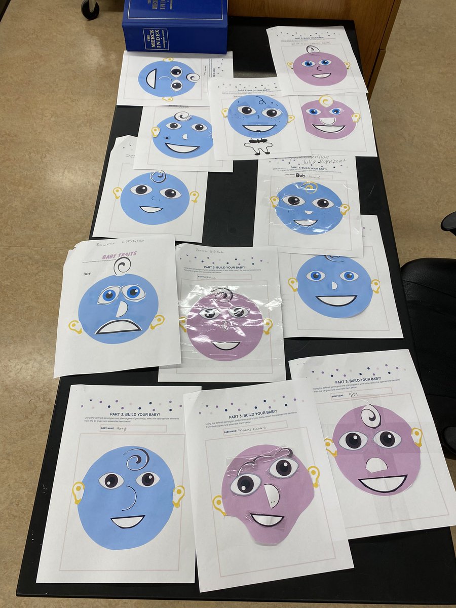 ‘Baby Building’ in #SBI3U to practice monohybrid crosses 👶🏼