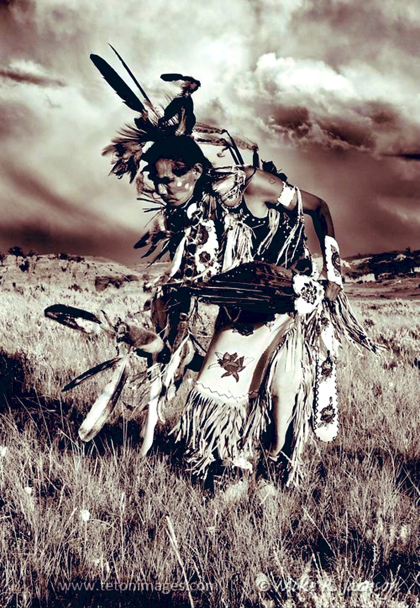 Native e. Индейцы исторические фото. Ботинки fitzsimmons citylite. Ботинки native серые. Native fitzsimmons 2.