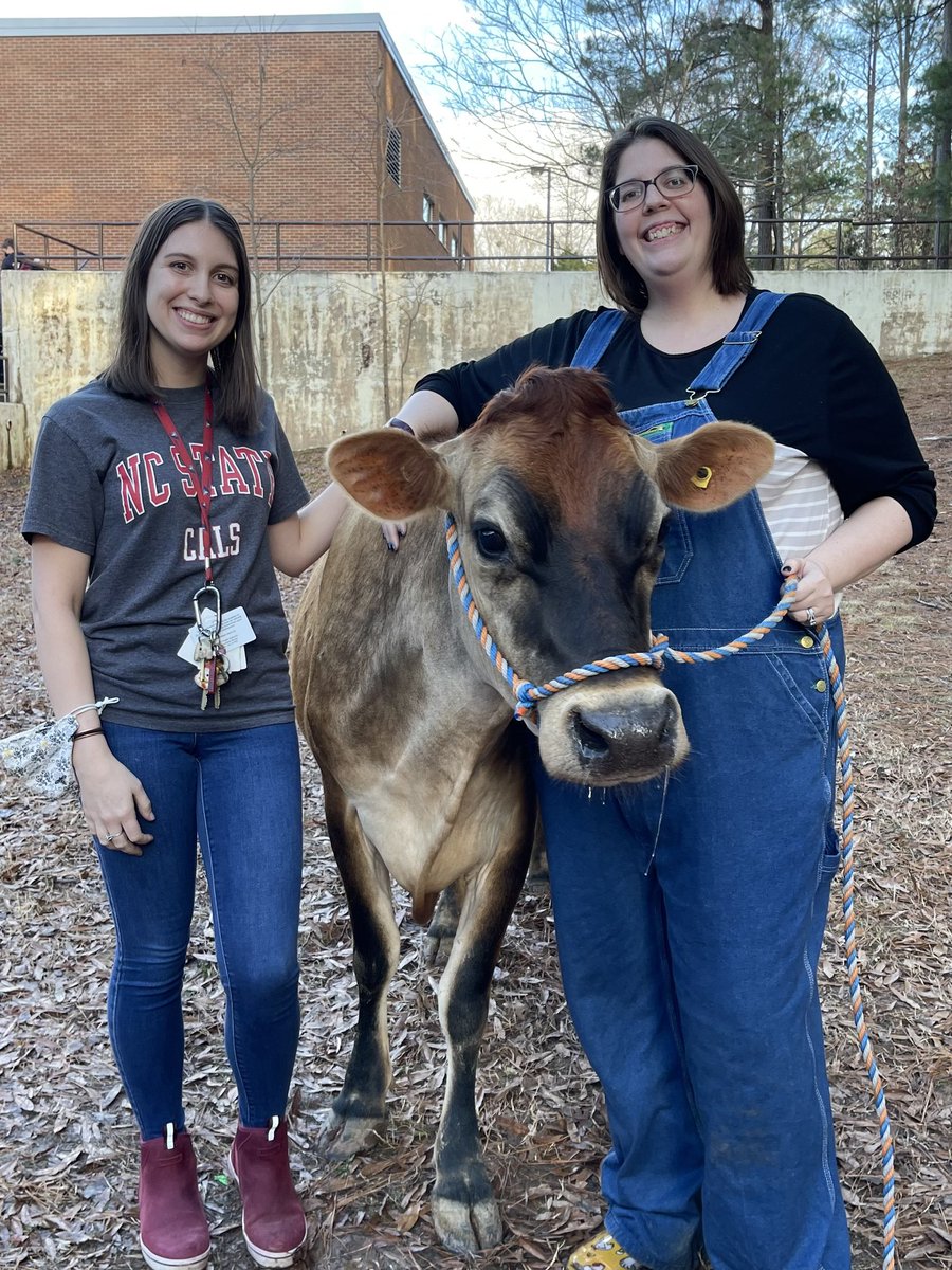 AgSommerfeld's tweet photo. Today the JHS FFA had a local farmer come to campus with one of their farms Dairy Cows! The students were SO EXCITED to meet and greet with a real animal all while learning about the dairy industry and different facts and cows #agintheclassroom #dpscte https://t.co/YoRSwRgBBX