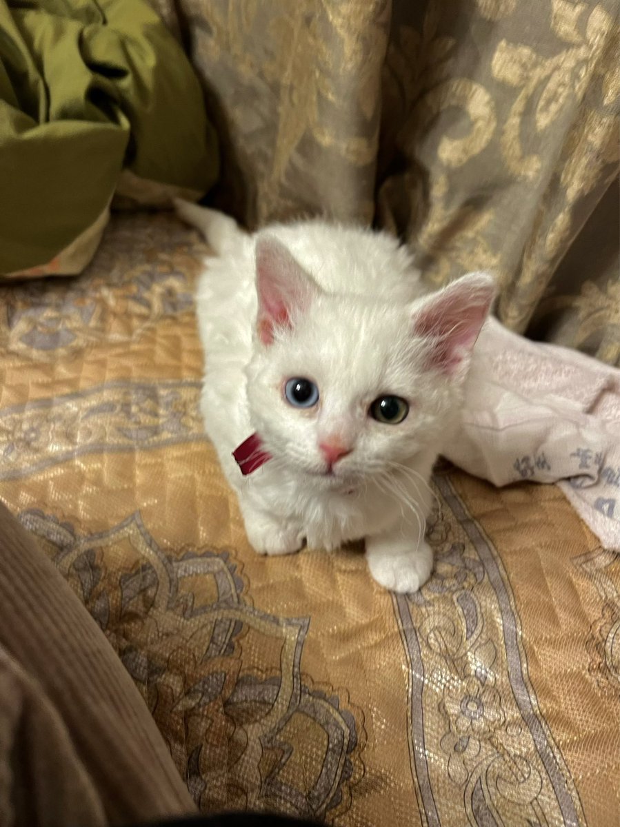 見るな｜millna on X